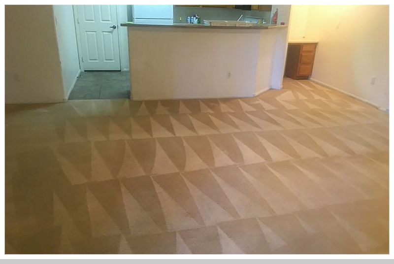 Carpet Cleaning: After Carpet Cleaning: After