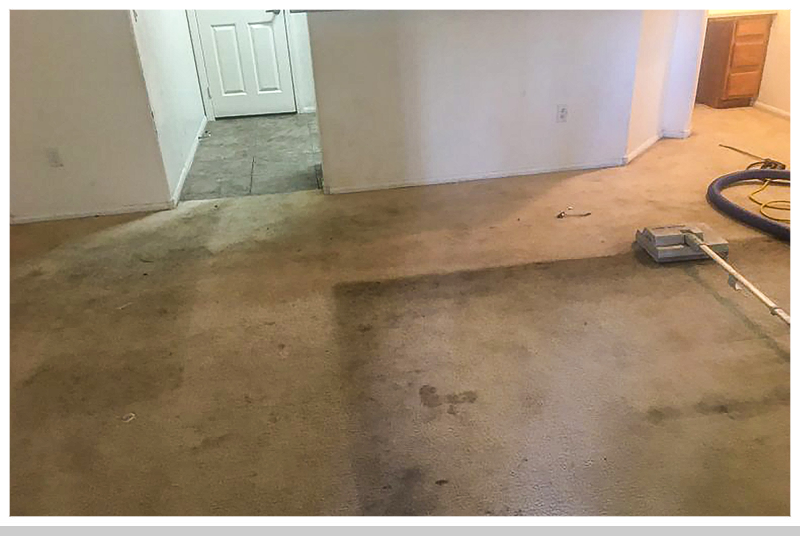 Carpet Cleaning: Before Carpet Cleaning: Before